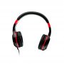 RC-casti0098-red RC-casti0098-red